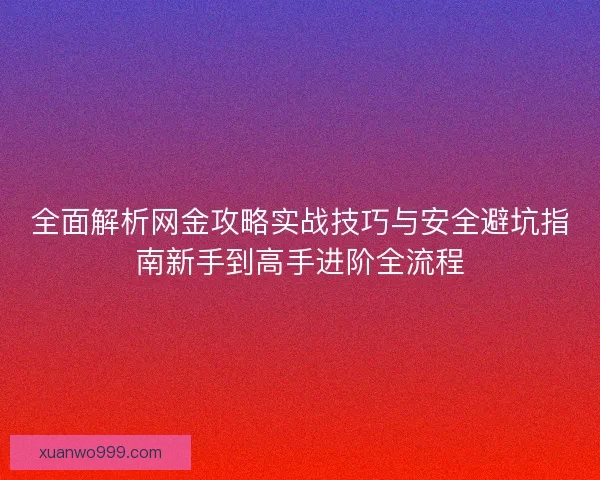 全面解析网金攻略实战技巧与安全避坑指南新手到高手进阶全流程